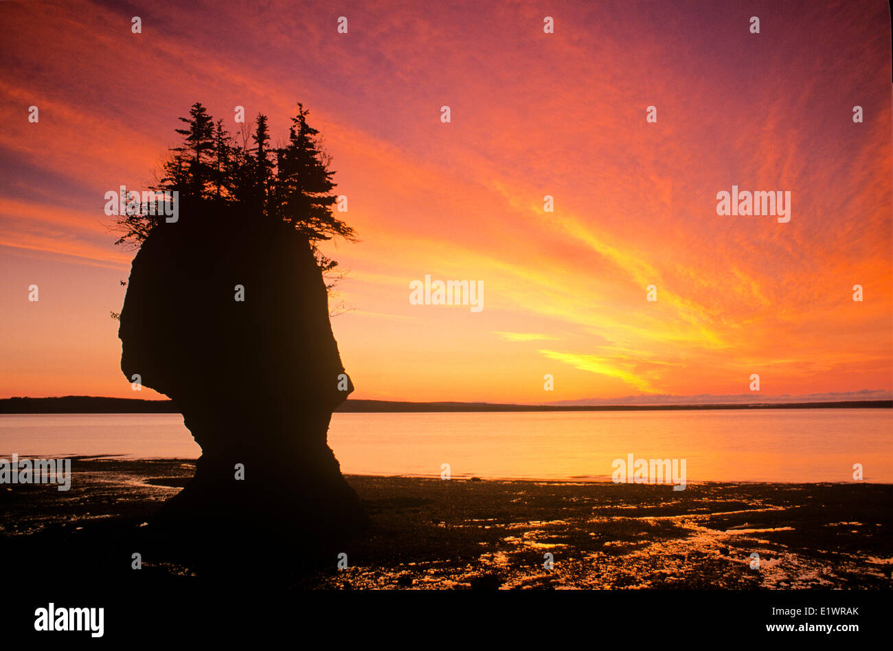 Hopewell rocks provincial park sunrise High Resolution Stock ...
