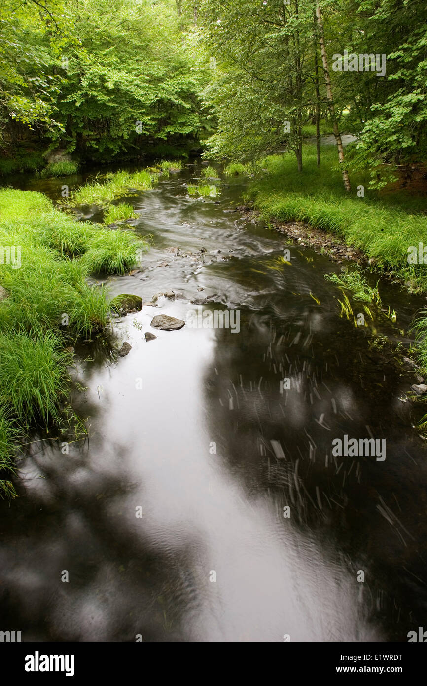 The Mersey River, Kejimkujik National Park, Nova Scotia; Canada Stock Photo
