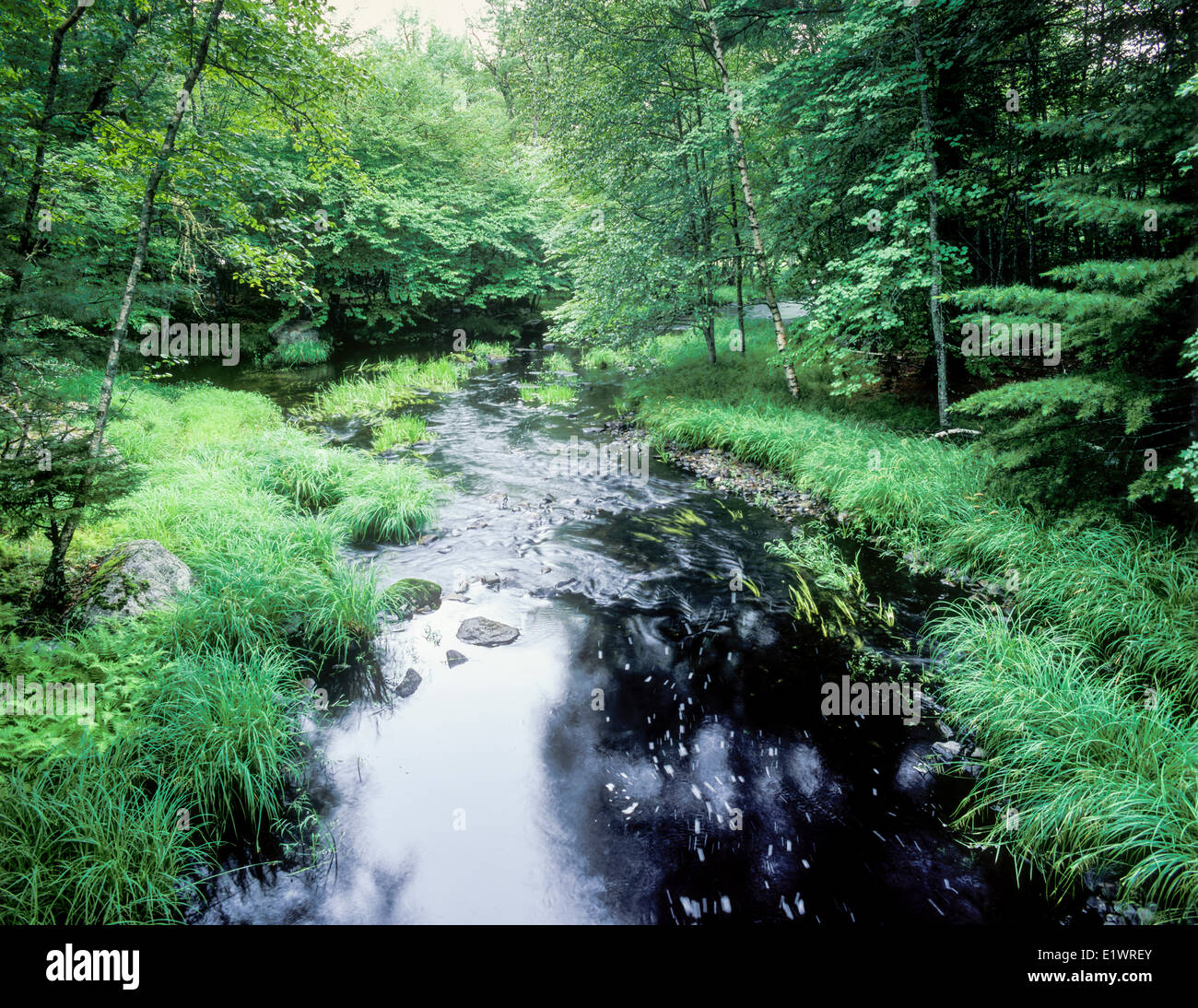 The Mersey River, Kejimkujik National Park, Nova Scotia, Canada Stock Photo