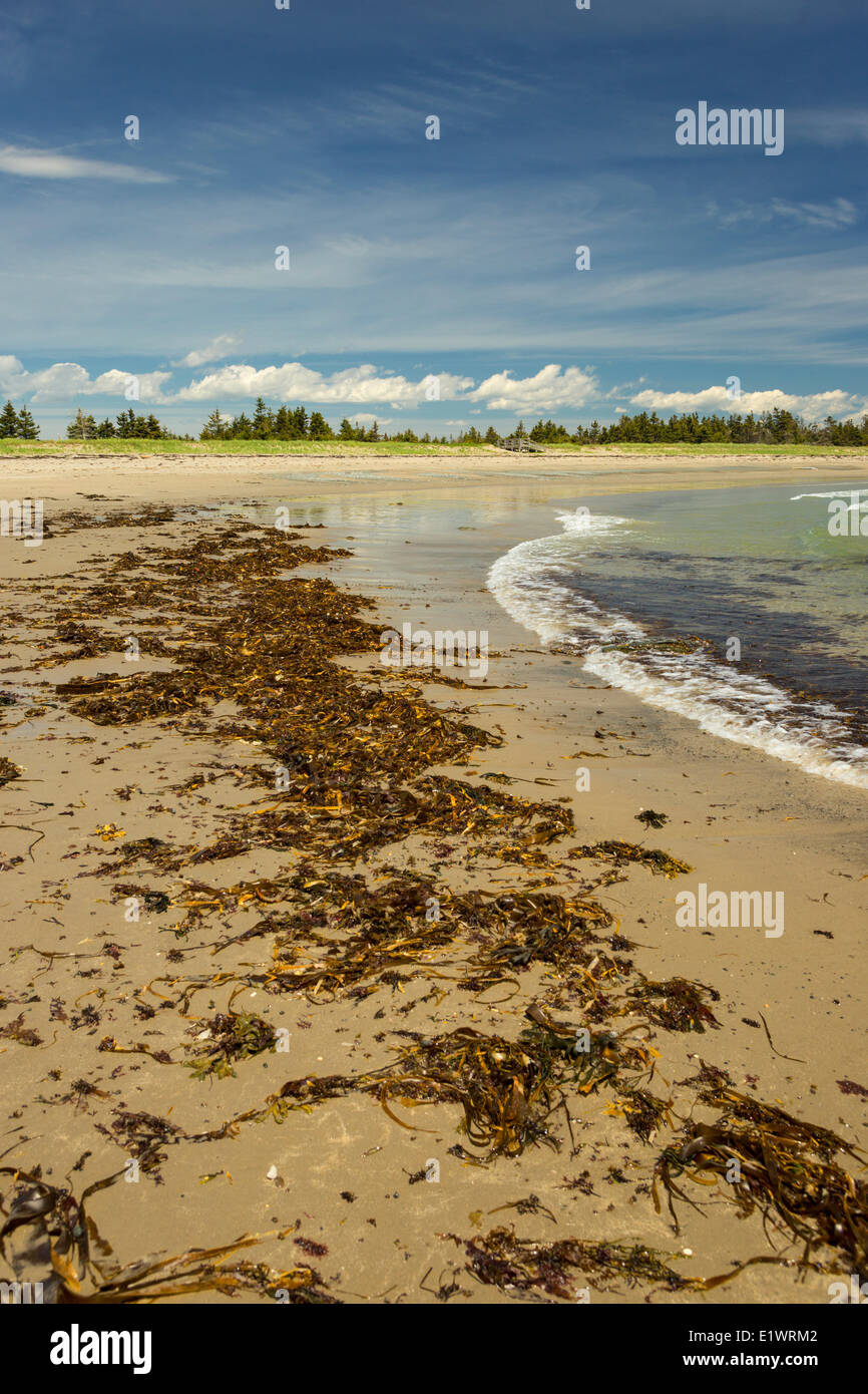 Martinique Beach Provincial Park, Nova Scotia, Canada Stock Photo Alamy