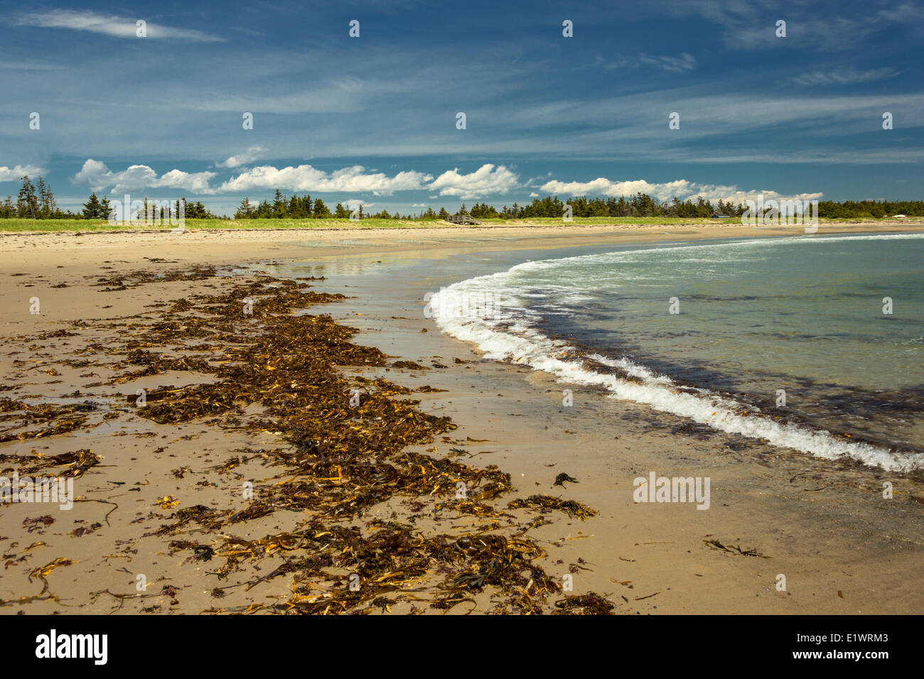 Martinique Beach Provincial Park, Nova Scotia, Canada Stock Photo Alamy