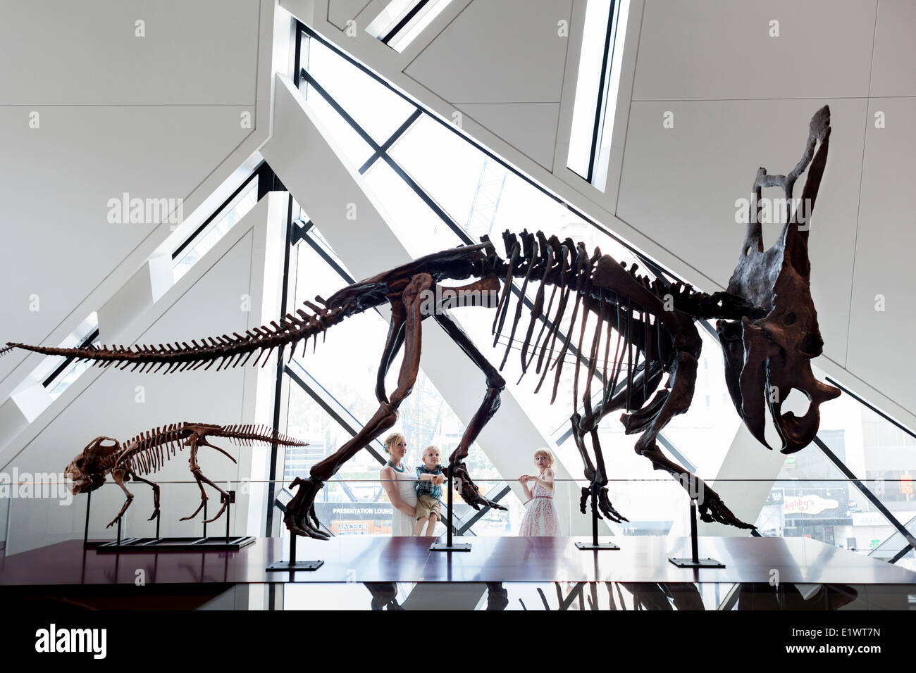 Mother with little girl and boy looking at dinosaur fossils at Royal Ontario Museum, Toronto, Ontario, Canada Stock Photo