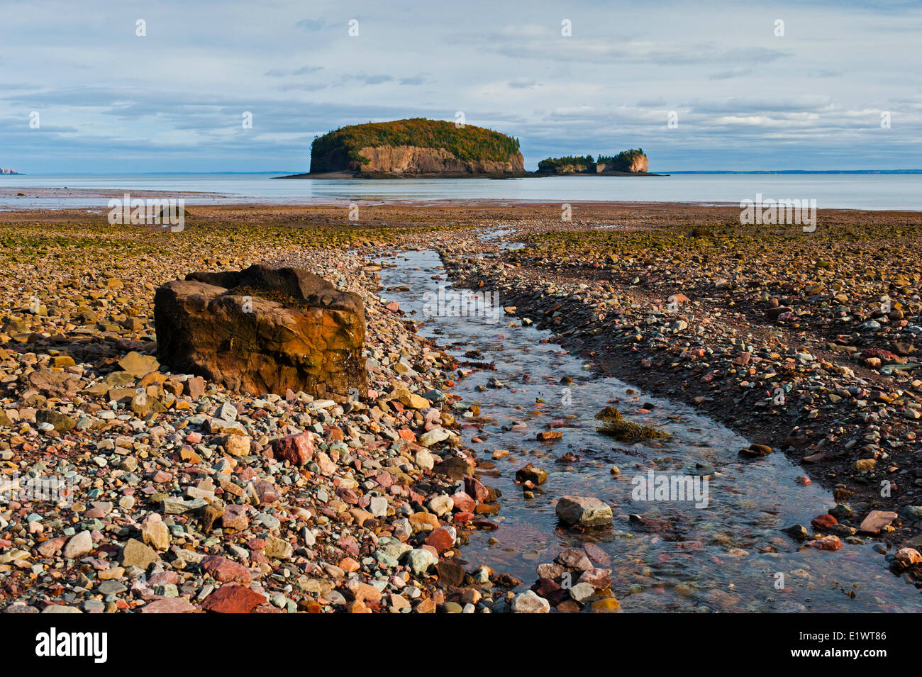 Bay of Fundy at low tide.  The Brothers Islands located off Clarke Head in the Minas Basin, Nova Scotia. Canada. Stock Photo