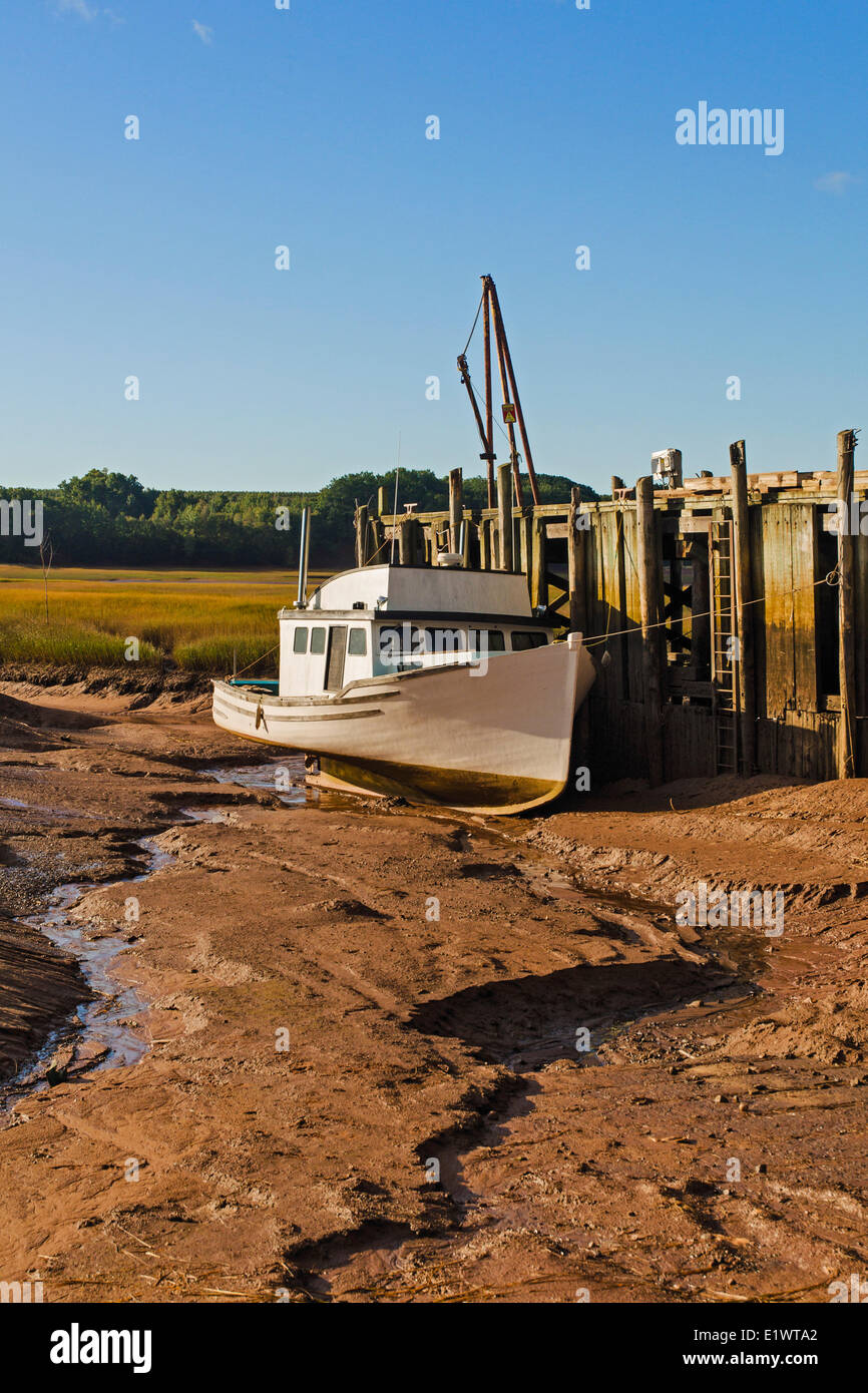 Fishing boat stranded on the mud flats at low tide in Minas Basin.  Bay of Fundy.  Delhaven, Nova Scotia. Canada. Stock Photo