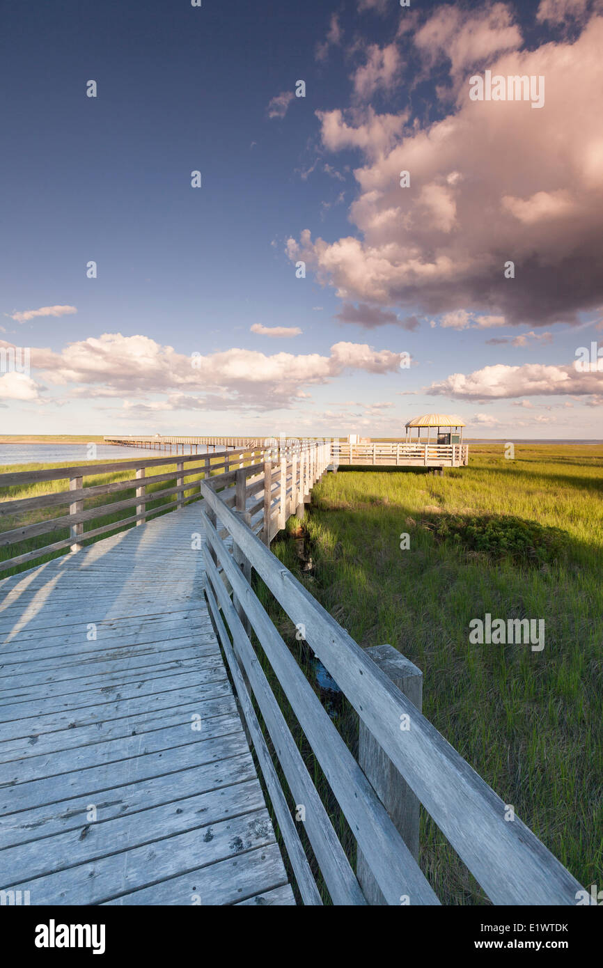 The Kellys beach boardwalk in Kouchibouguac National Park, New Brunswick, Canada Stock Photo Alamy