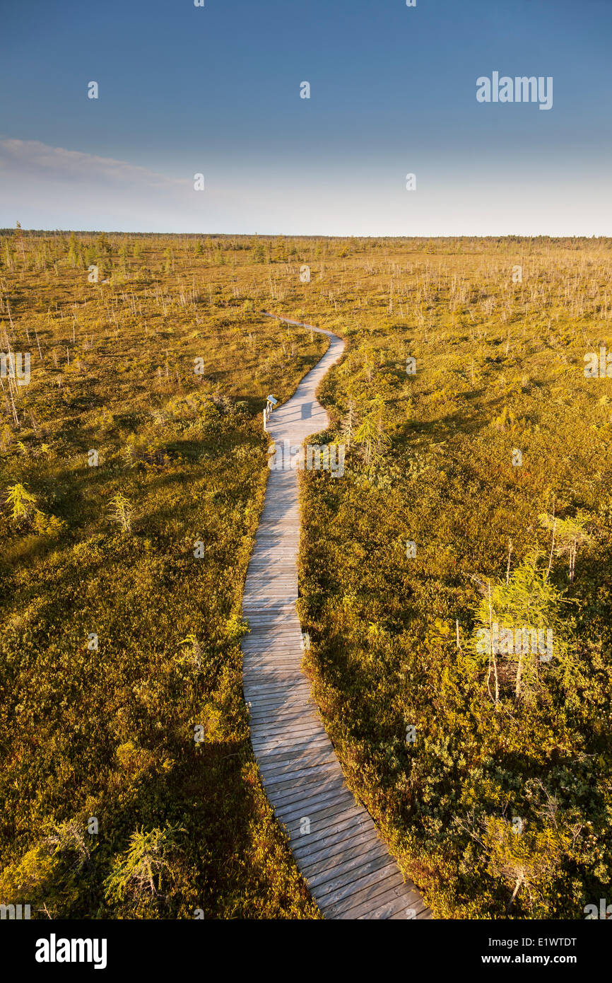 Canada kouchibouguac national park hires stock photography and images