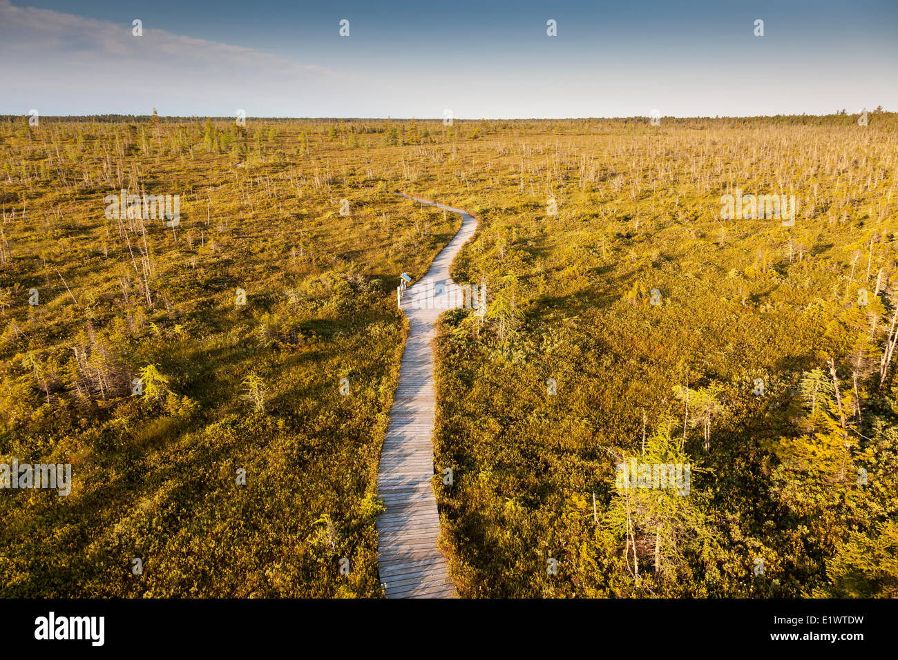 Bog trail in kouchibouguac national park hires stock photography and