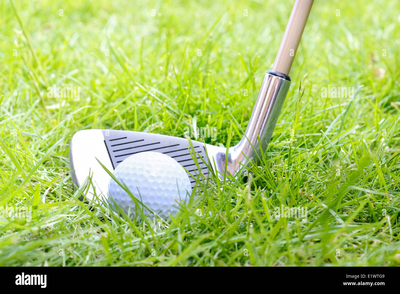 golf ball in the rough problem shot Stock Photo Alamy