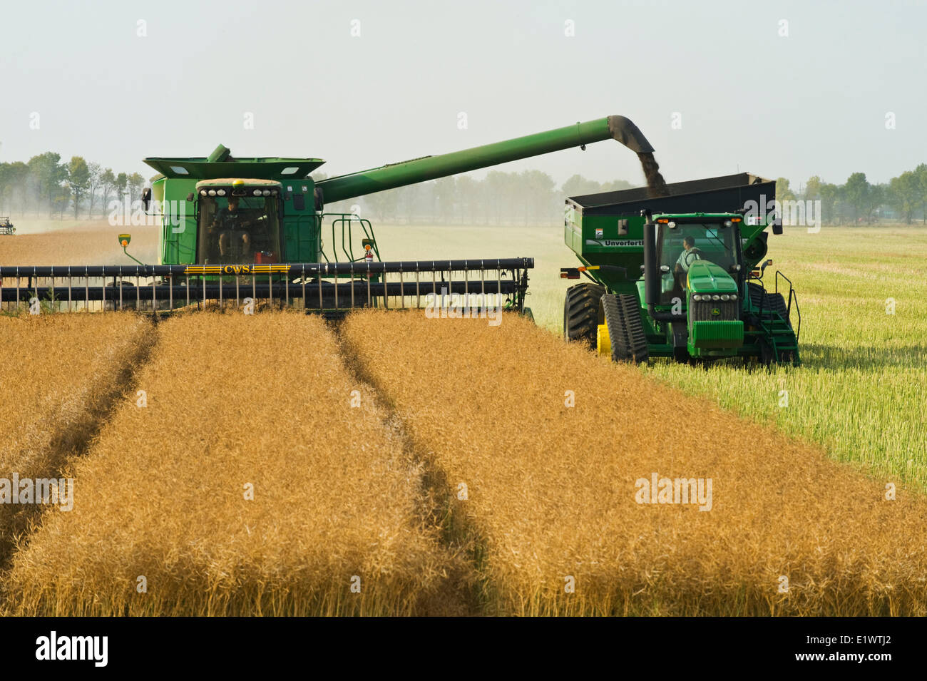 a combine harvester equipped with an air reel on the header, straight