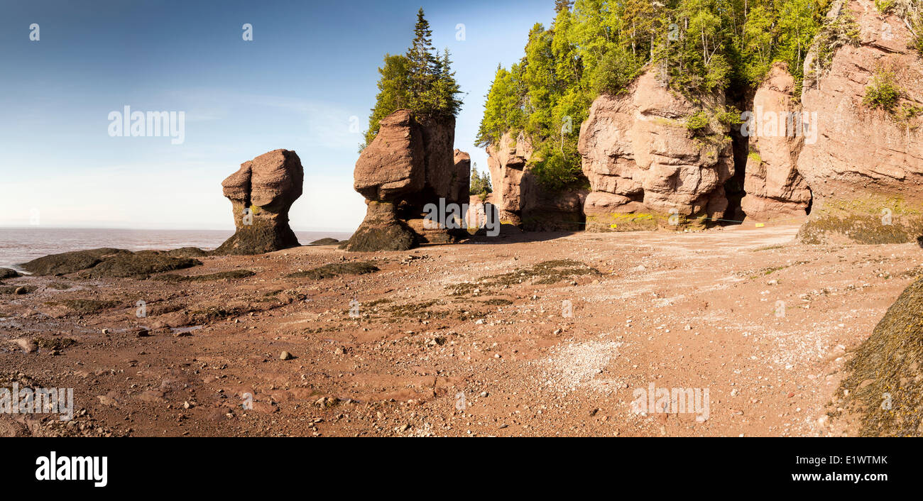 Low-tide at the Hopewell Rocks Provincial Park, New Brunswick, Canada (digitally spliced panorama) Stock Photo