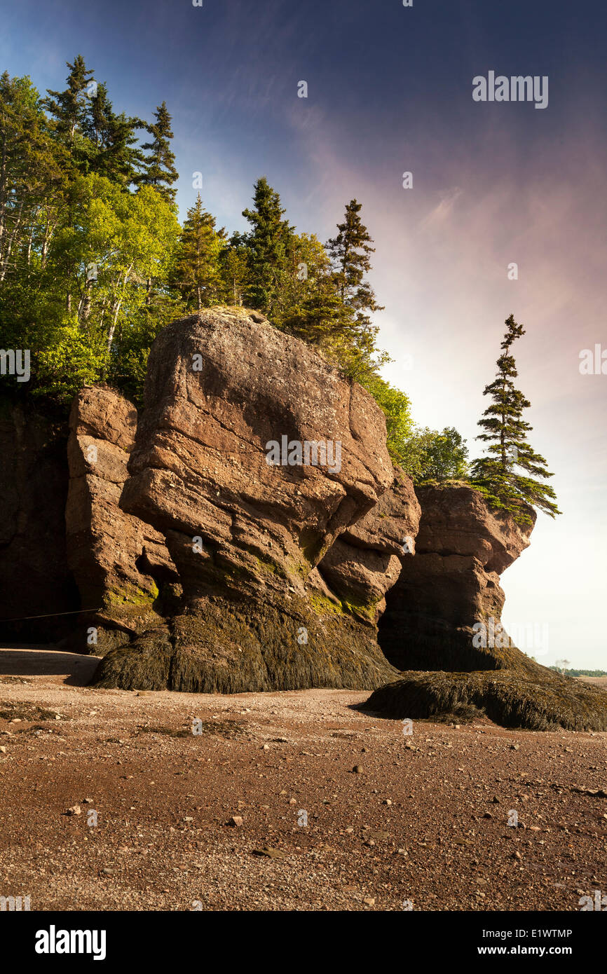 Lowtide at the Hopewell Rocks Provincial Park, New Brunswick, Canada