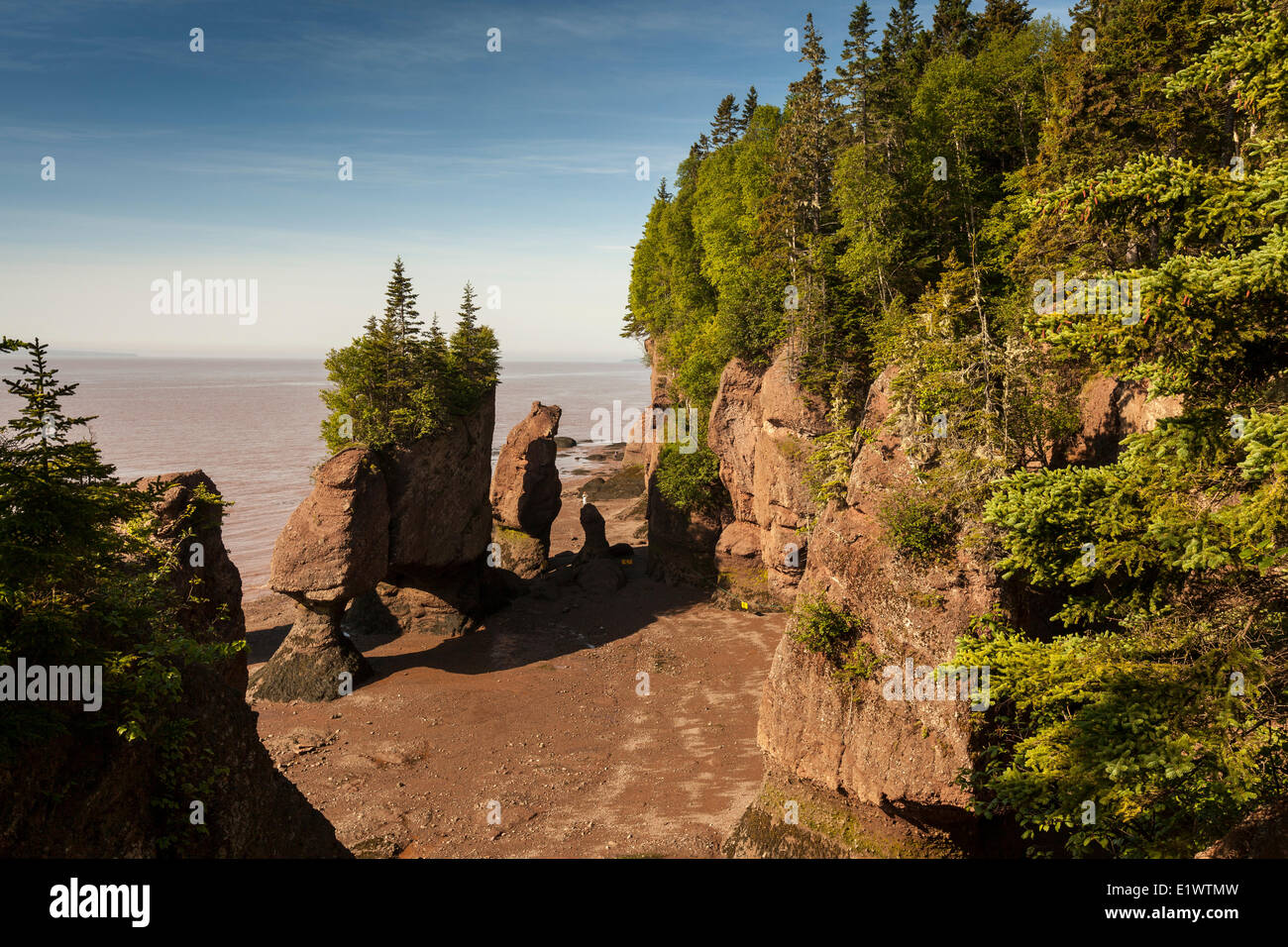 Lowtide at the Hopewell Rocks Provincial Park, New Brunswick, Canada
