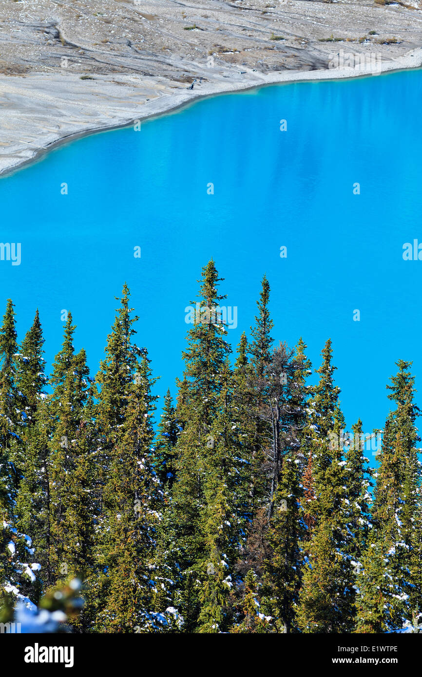 Aerial view of Peyto Lake, Banff National Park, Alberta, Canada Stock ...