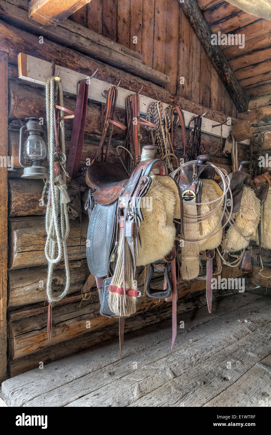 Saddles hanging in a horse barn, Bar U Ranch National Historic Site, Alberta, Canada Stock Photo