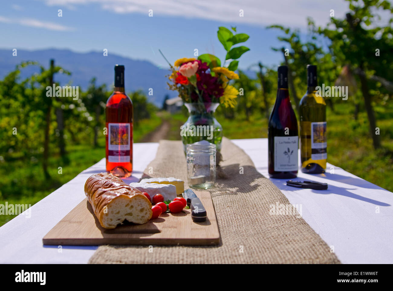 Dining in the vineyard, Little Straw Vineyards, West Kelowna, British