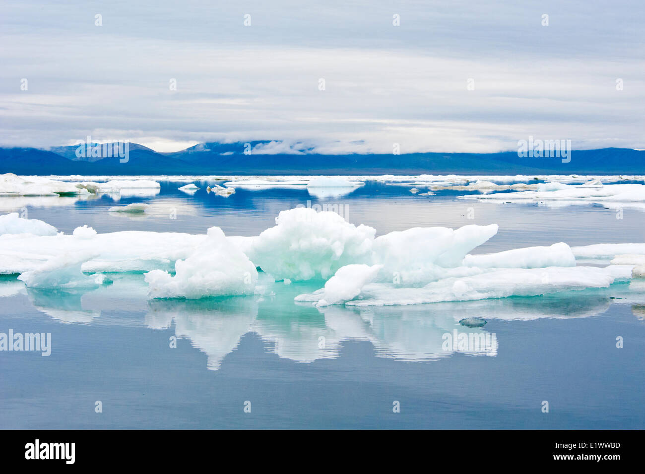 Wrangel Island, Arctic Russia Stock Photo