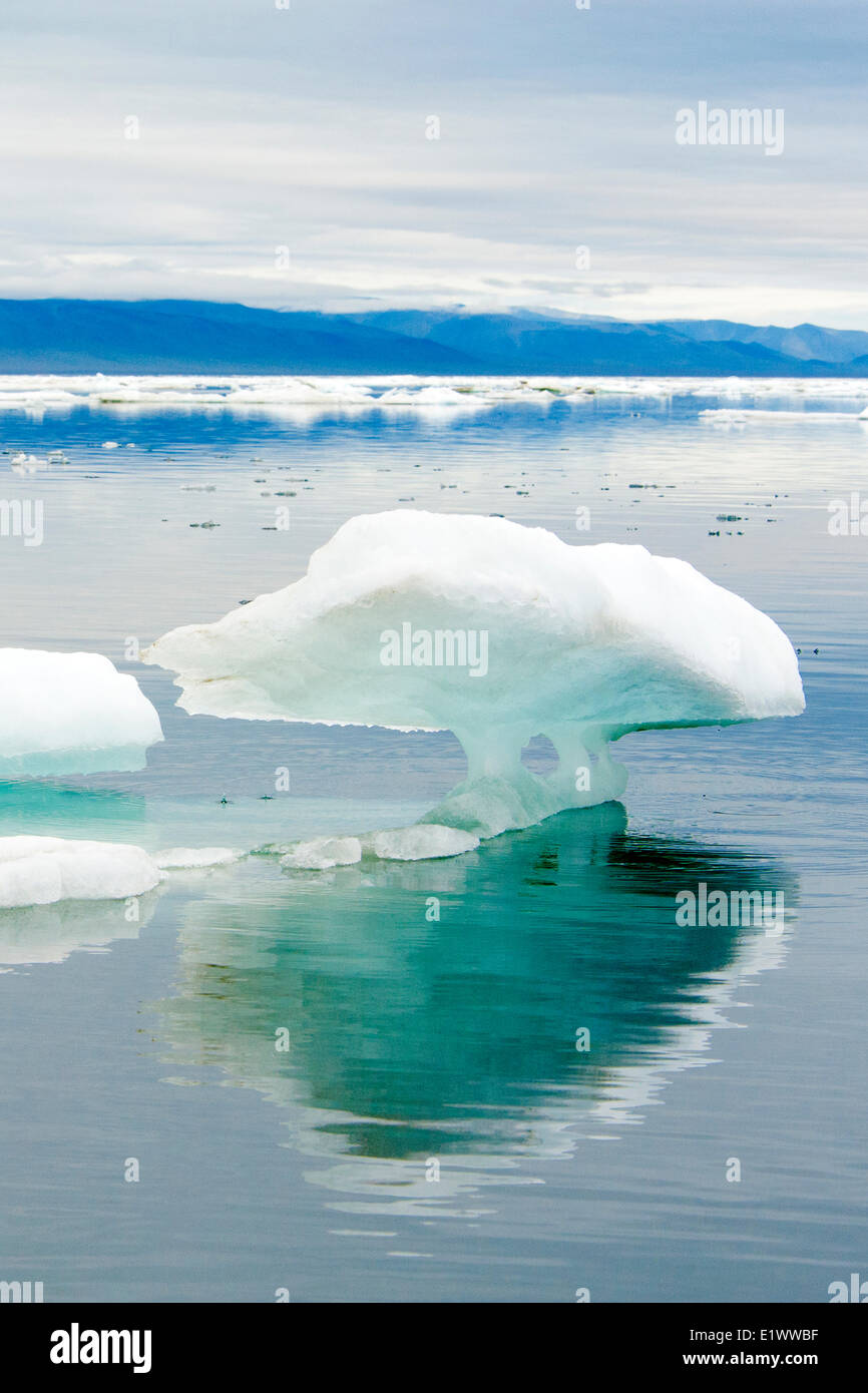 Wrangel Island, Arctic Russia Stock Photo