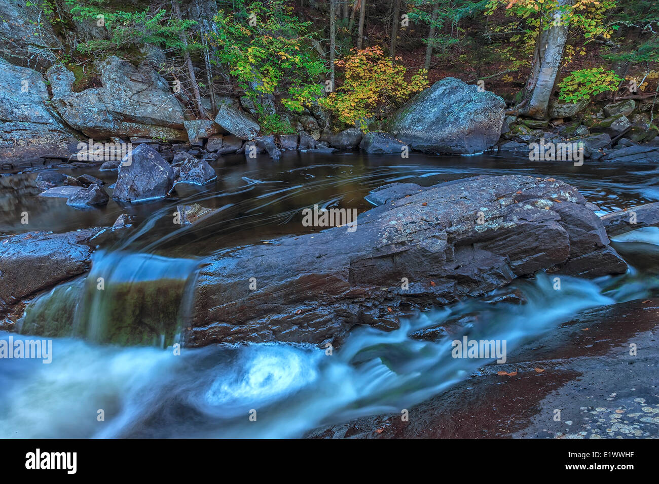 The Oxtongue River flowing through Algonquin Park with the autumn