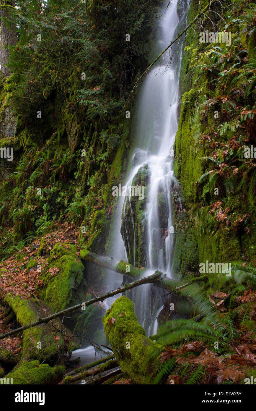 Waterfall at Goldstream Provincial Park Victoria BC Stock Photo Alamy