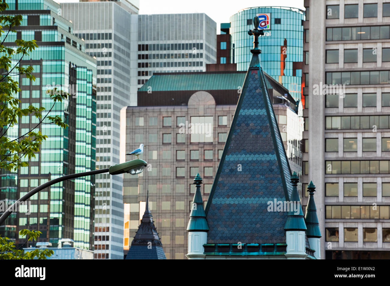 Compressed image of the various architectural styles of Montreal's downtown office buildings, Quebec, Canada Stock Photo