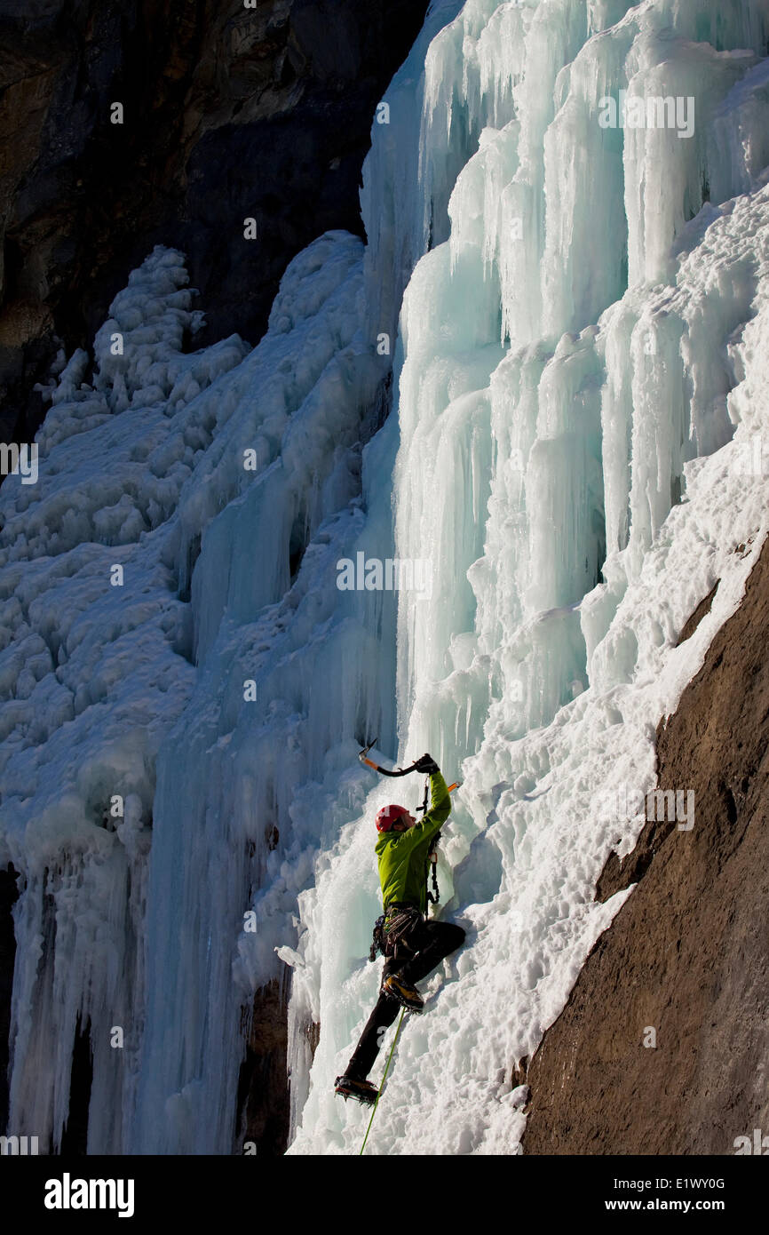 A male ice climber works his way the beautiful sunny ice climb called Malignant Mushroom WI5 in the Ghost River Valley, AB Stock Photo