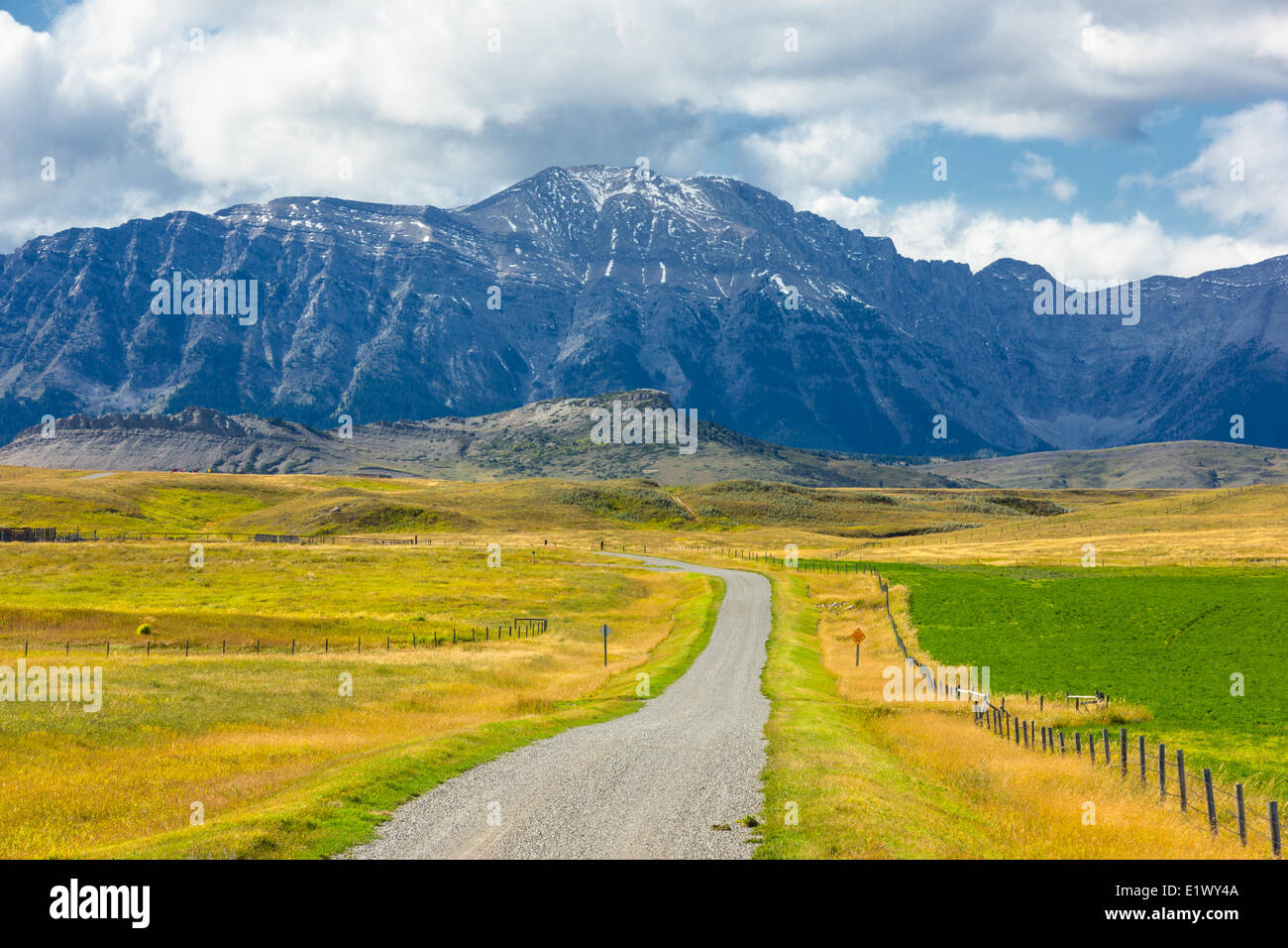 Gravel road, foothills, Longview, Alberta, Canada Stock Photo Alamy