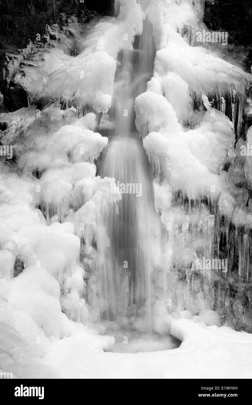 Langdale Falls, waterfall, frozen,ice, icicles, Gibsons, Sunshine Coast, B.C. B&W Stock Photo
