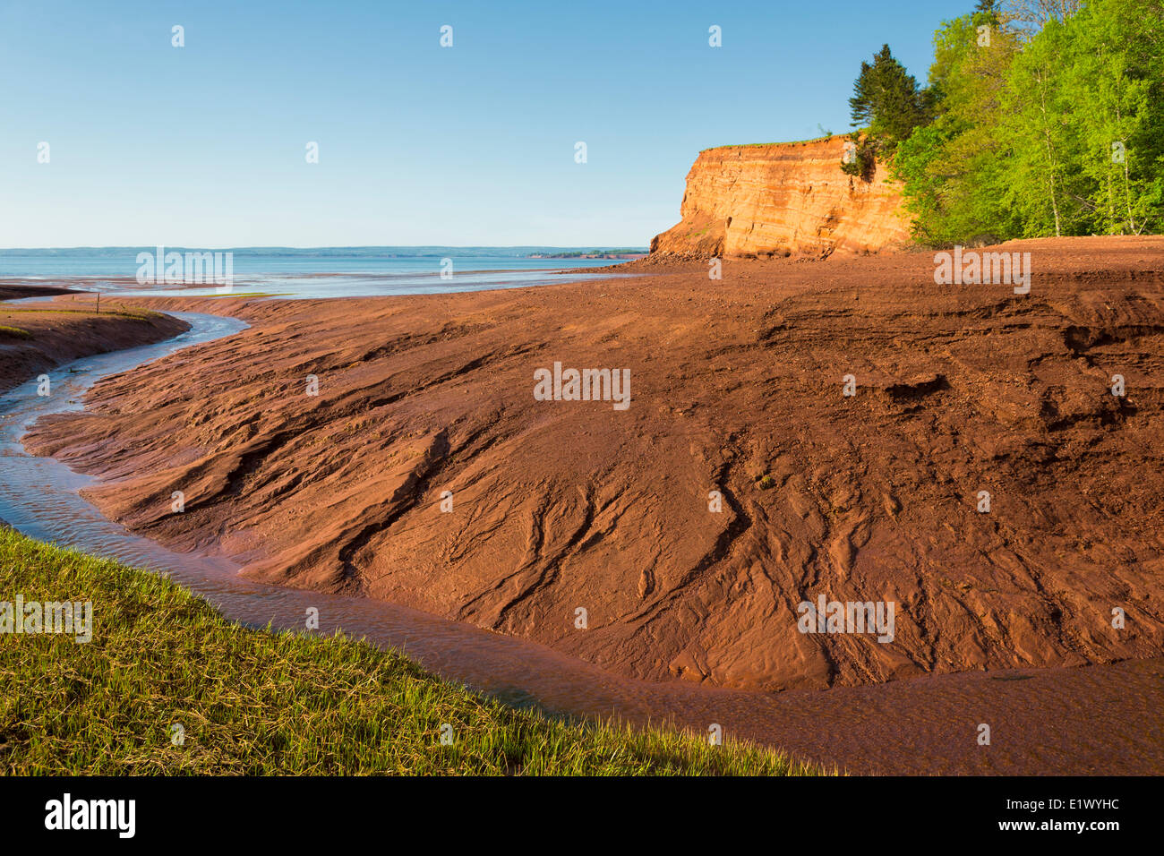 Low tide, Bay of Fundy coastline, Mill Creek, Nova Scotia, Canada Stock Photo