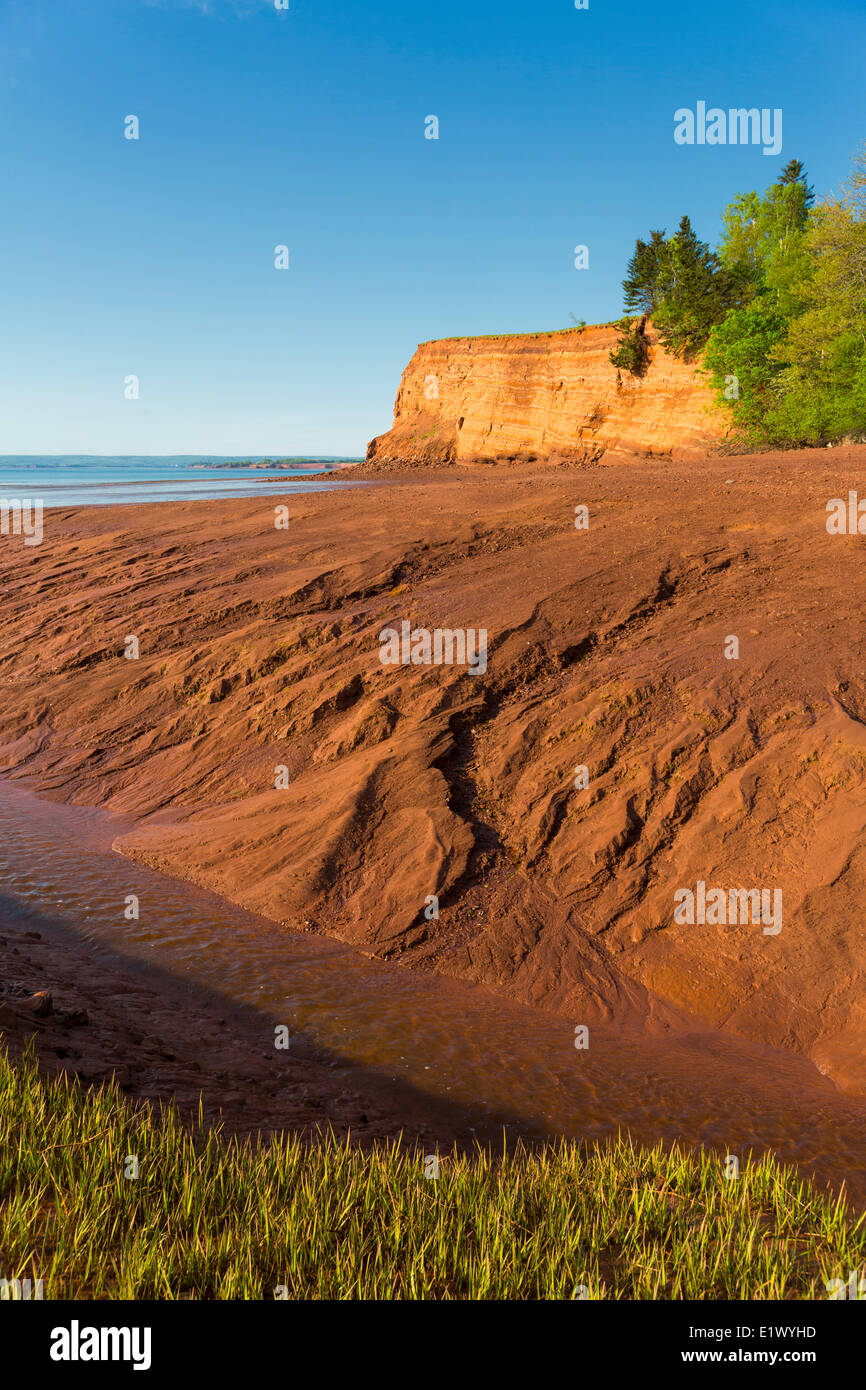 Low tide, Bay of Fundy coastline, Mill Creek, Nova Scotia, Canada Stock Photo