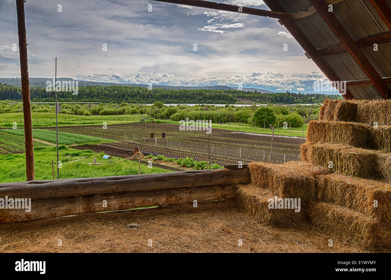 British Columbia, Canada, Horse Lake Community Farm Coop, farming