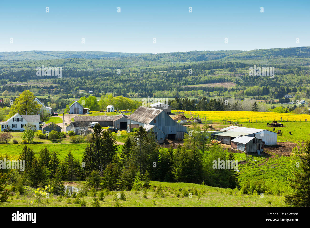 Farm, Five Islands, Nova Scotia, Canada Stock Photo Alamy