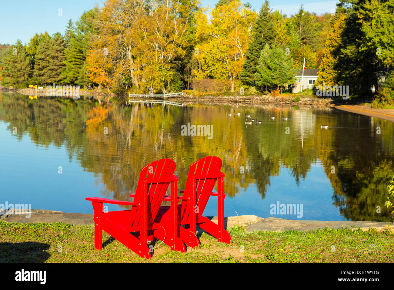Muskoka Chairs, Lake of Bays, Muskoka, Ontario, Canada Stock Photo