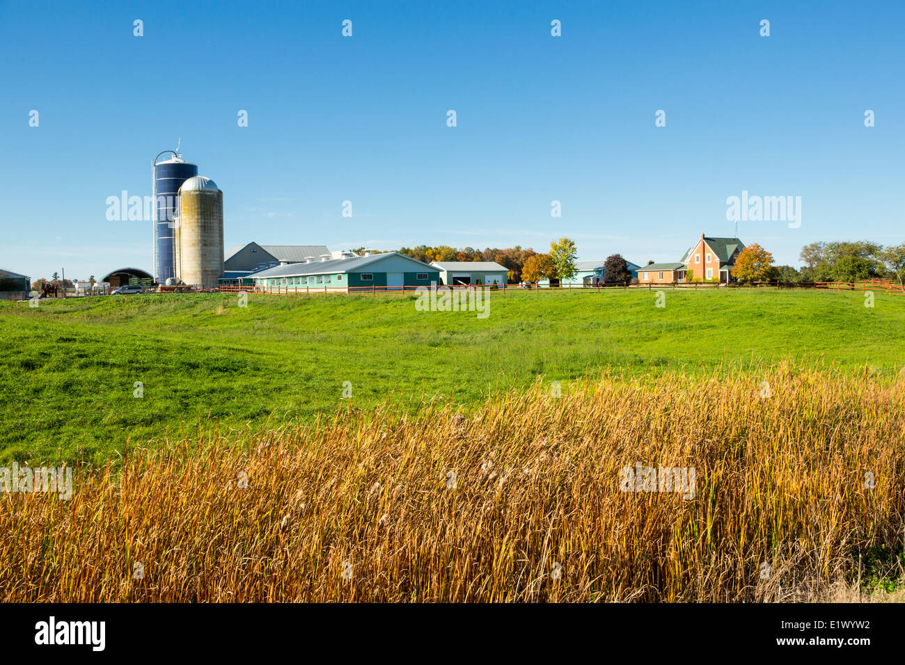 Farm, Mississippi Mills, Ontario, Canada Stock Photo
