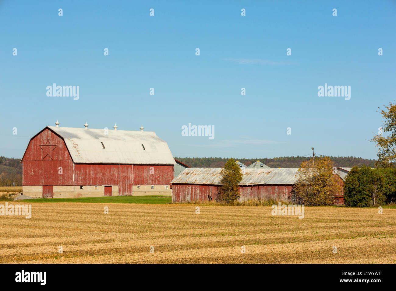 Red barn, Ottawa River Valley, Ontario, Canada Stock Photo