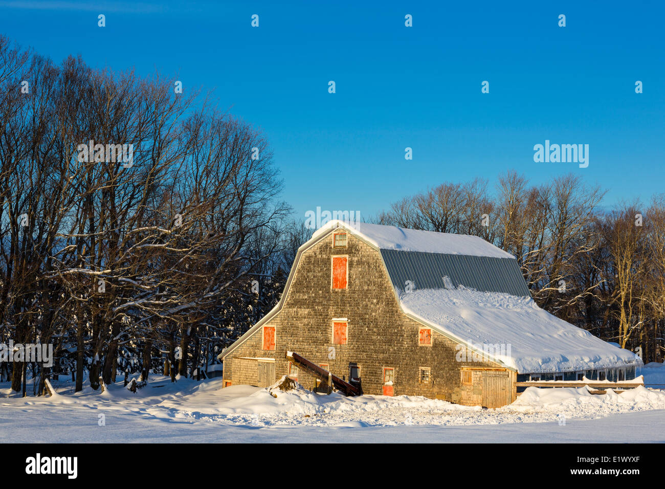 Wooden barn in winter, Hunter River, Prince Edward Island, Canada Stock Photo