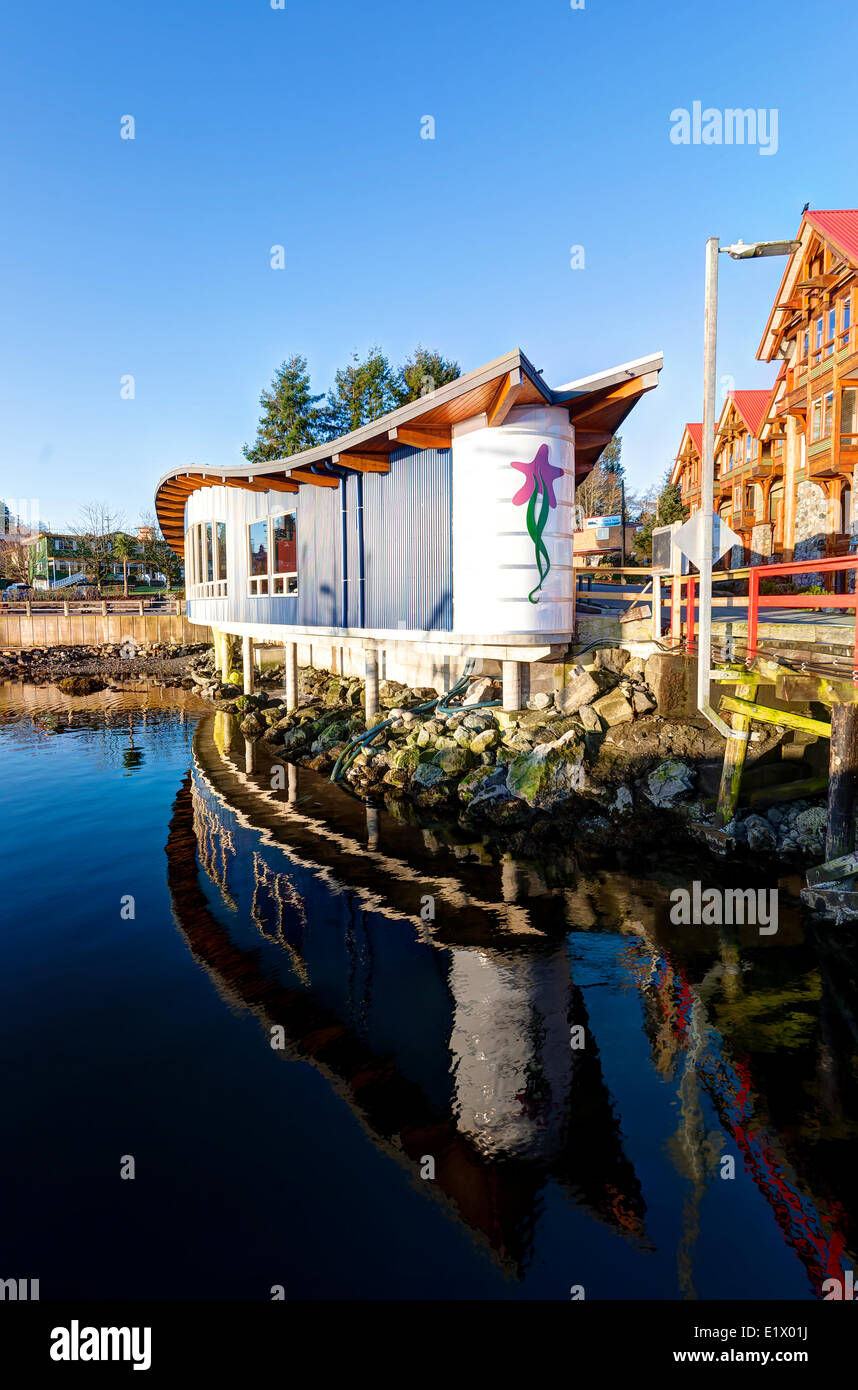 The front facade the newly designed Ucluelet Aquarium overlooks the quaint town's inner harbour.  Ucluelet Vancouver Island Stock Photo