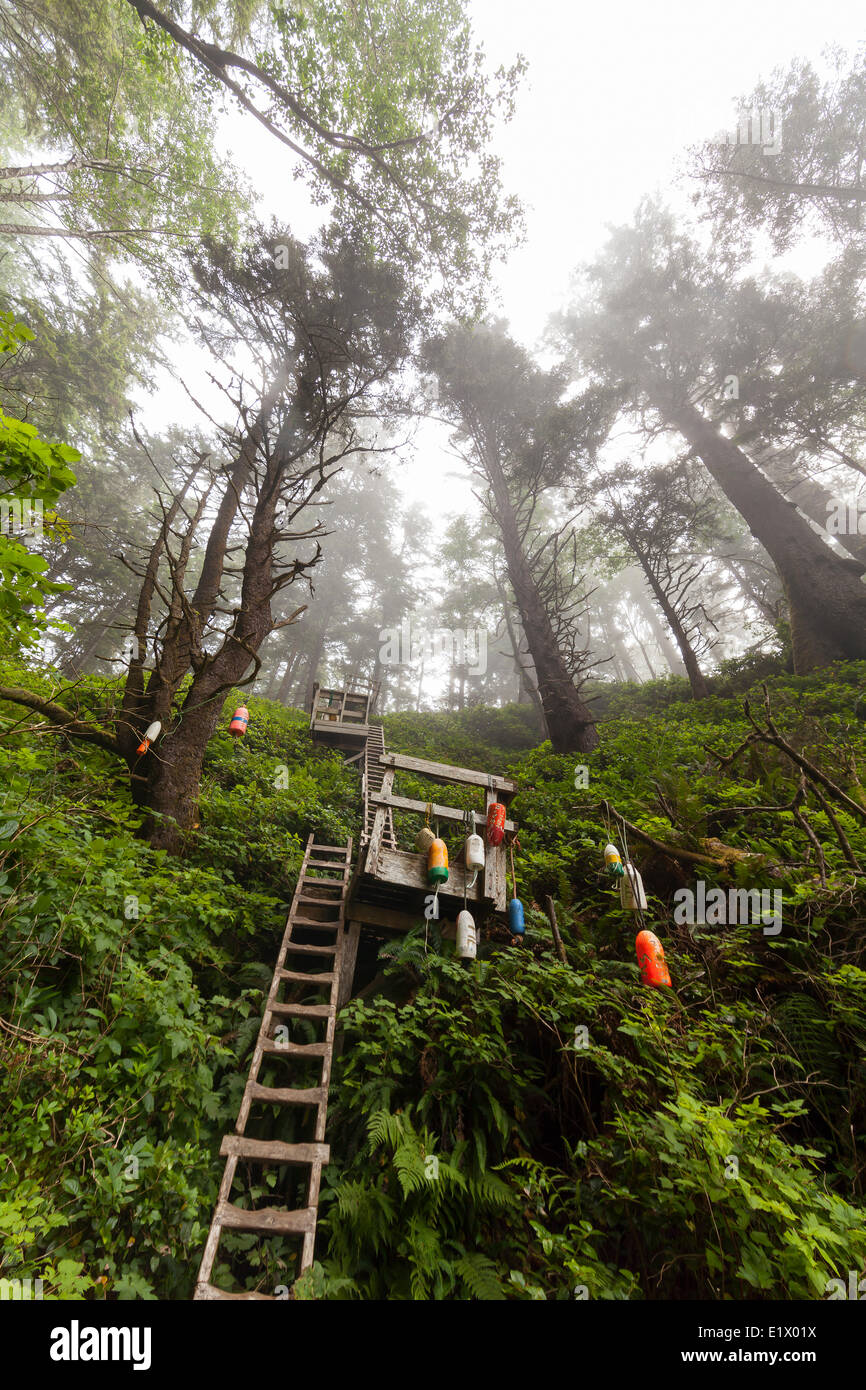 Steep sections along the West Coast Trail are negotiated via ladder systems like this one near Tsusiat Falls.  West Coast Trail Stock Photo
