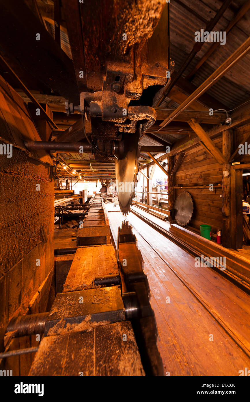 Lumber is still milled at the McLean Sawmill a popular tourist attraction near Port Alberni.  McLean Steam Sawmill Port Alberni Stock Photo