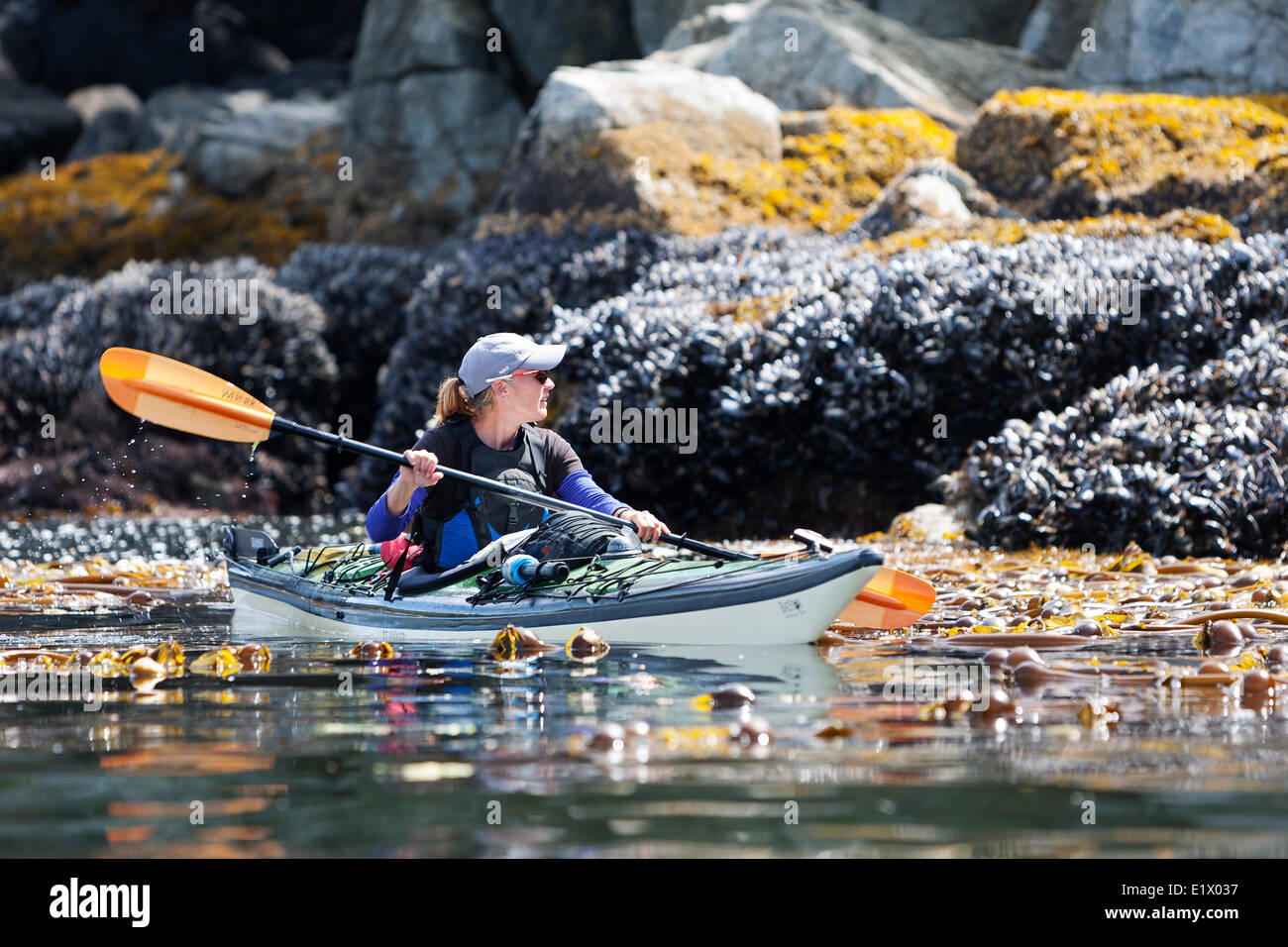 A kayak guide paddles through a rich intertidal shoreline near Dodd