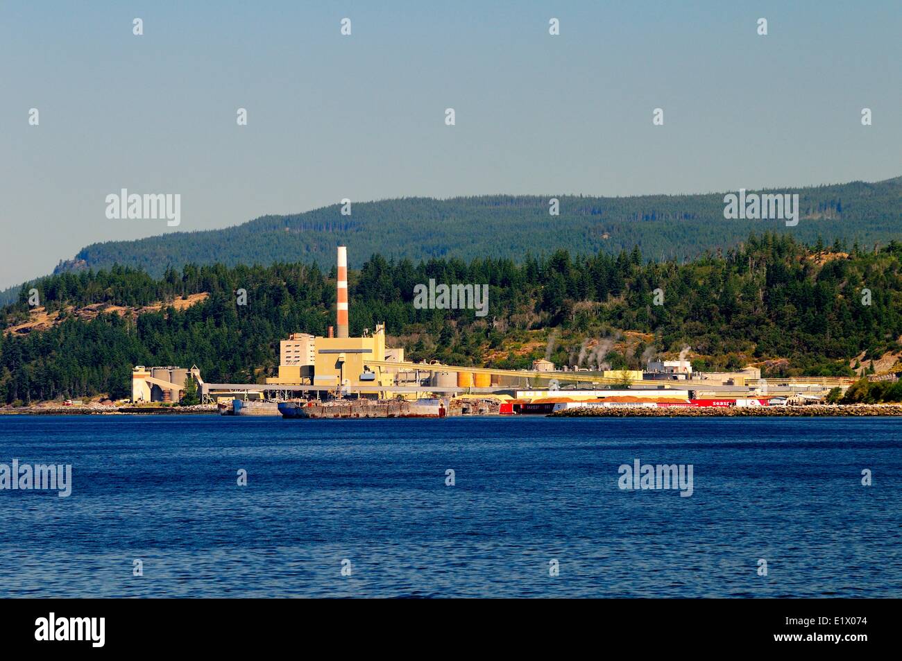 The Catalyst Pulp Mill in Powell River, BC. Stock Photo