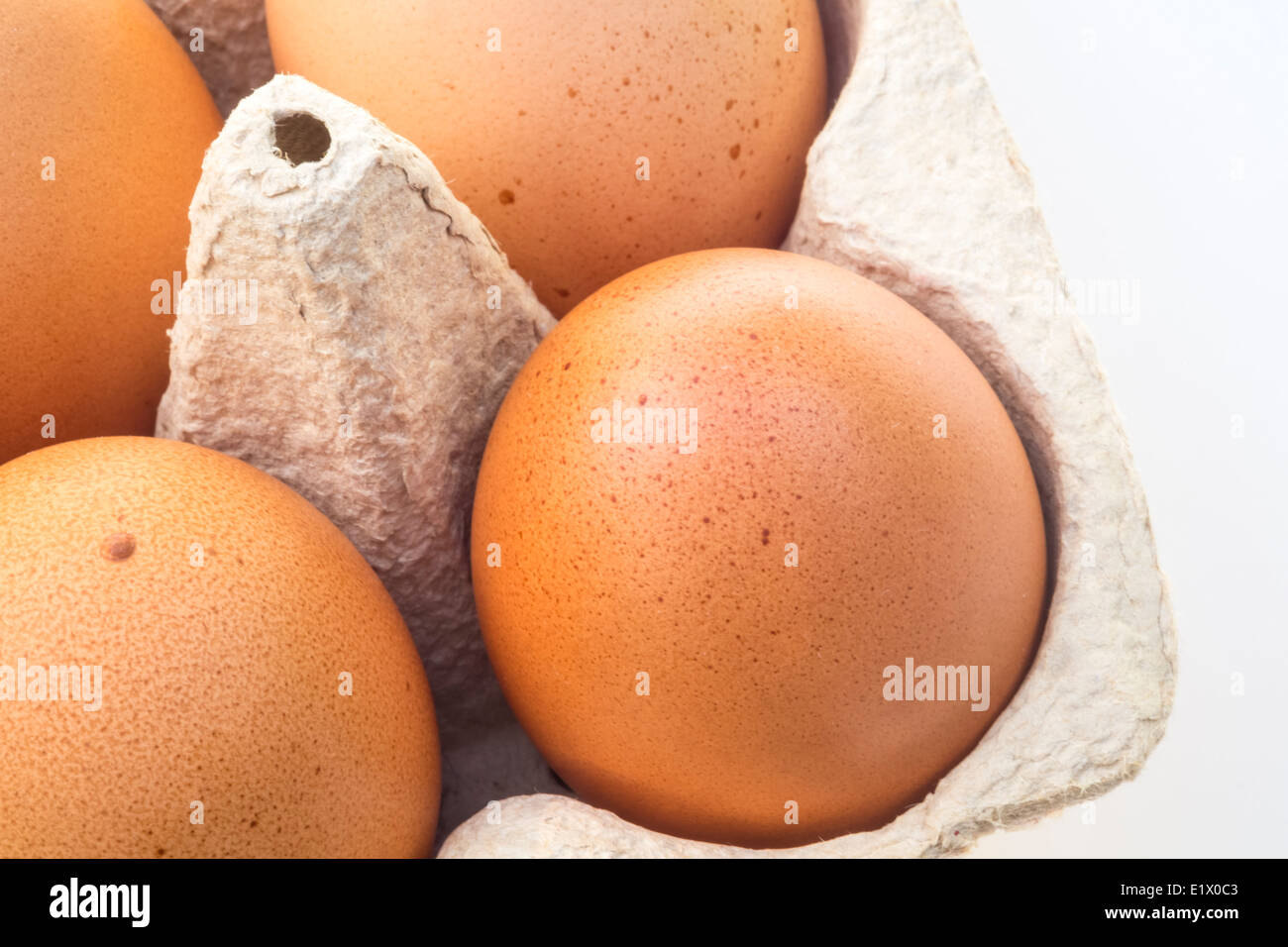 Close up of speckled brown hens eggs.. Stock Photo