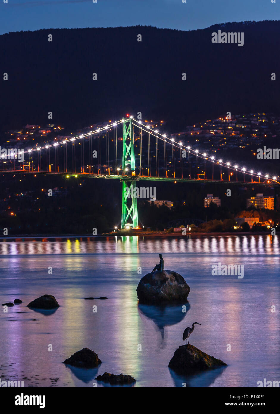 Lions Gate Bridge and Blue Heron, Vancouver, British Columbia, Canada Stock Photo