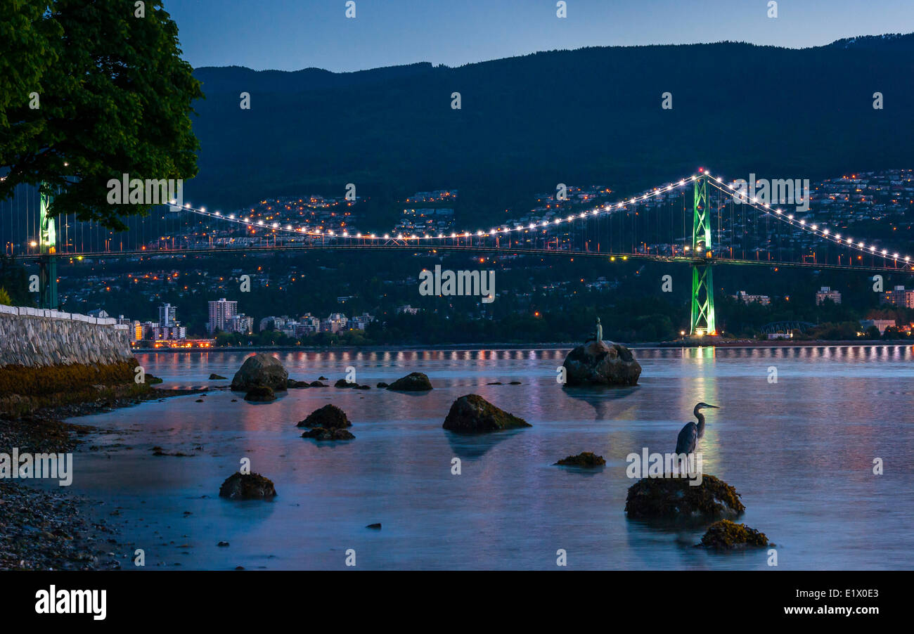 Lions Gate Bridge and Blue Heron, Vancouver, British Columbia, Canada Stock Photo