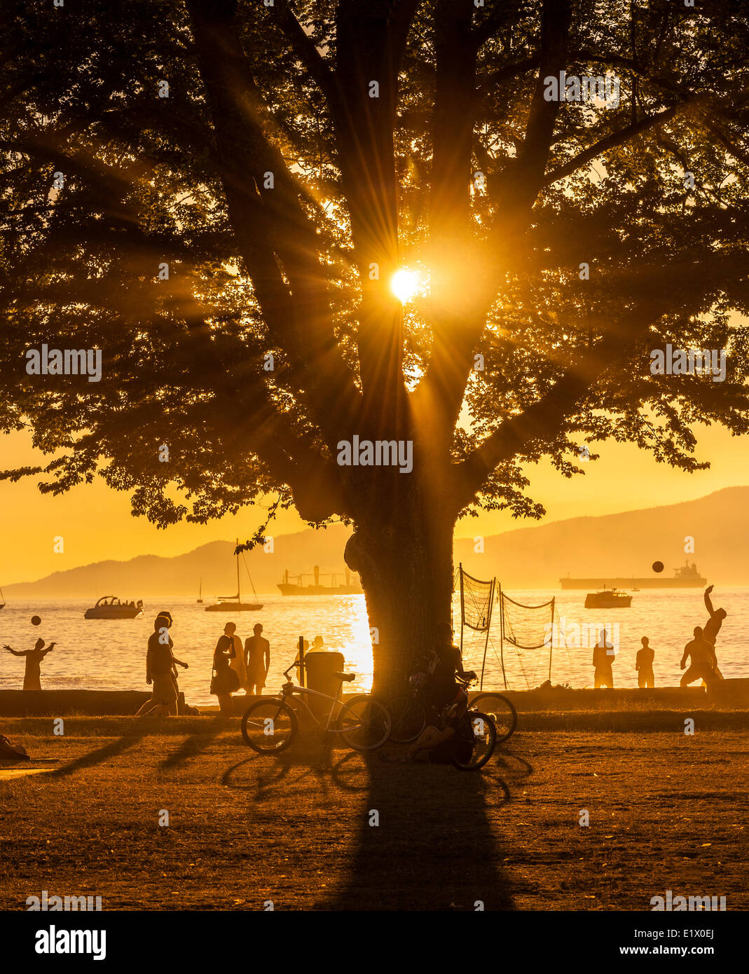 Kitsilano Beach at sunset Stock Photo Alamy