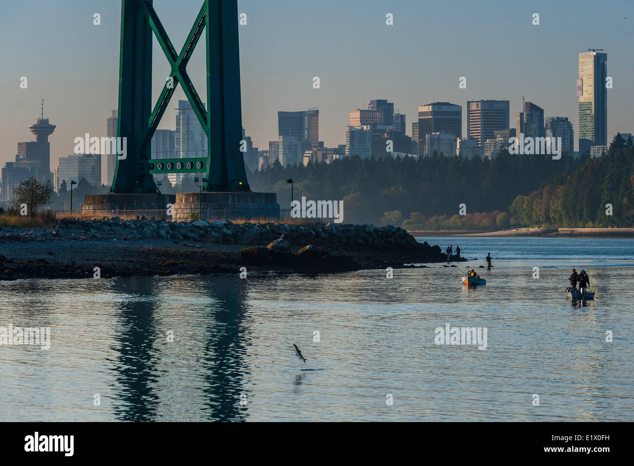 Salmon Fishing under the Lions Gate Bridge.  No the jumping fish is not photoshoped. Stock Photo
