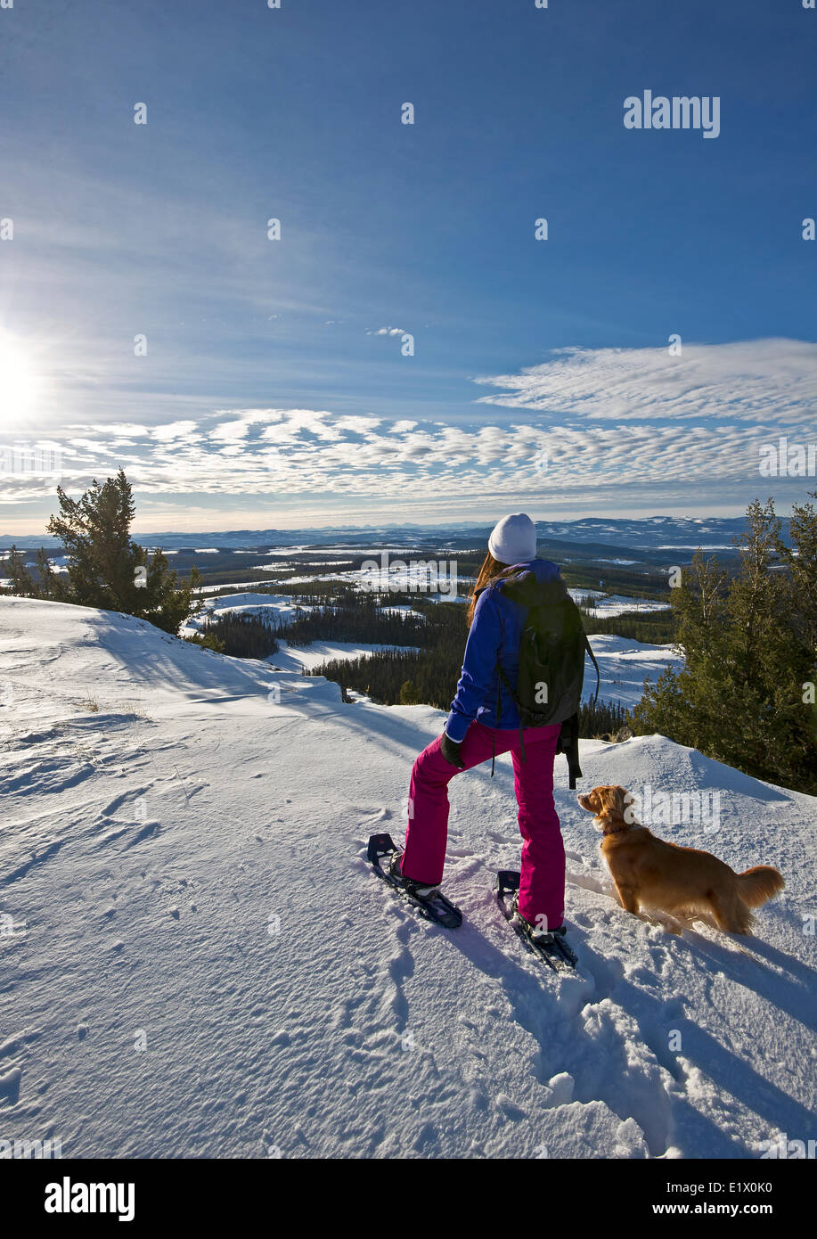 A young woman her dog pause for a break while snowshoeing her way along a ridge on Greenstone Mountain West Kamloops Thompson Stock Photo