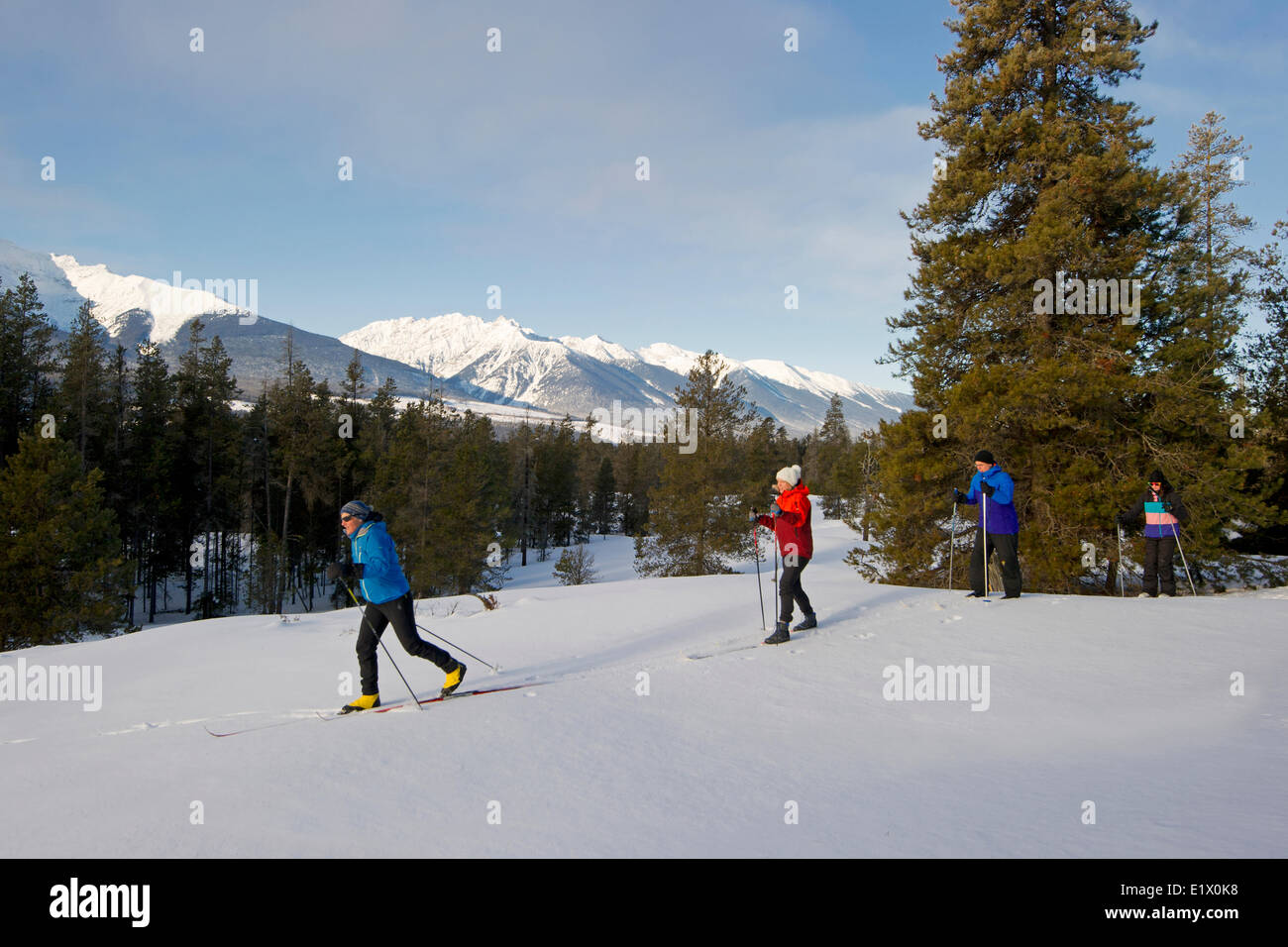 A group of cross country skiiers explore 'Jackman Flats' near Valemount, Thompson Okanagan region, British Columbia, Canada. Stock Photo