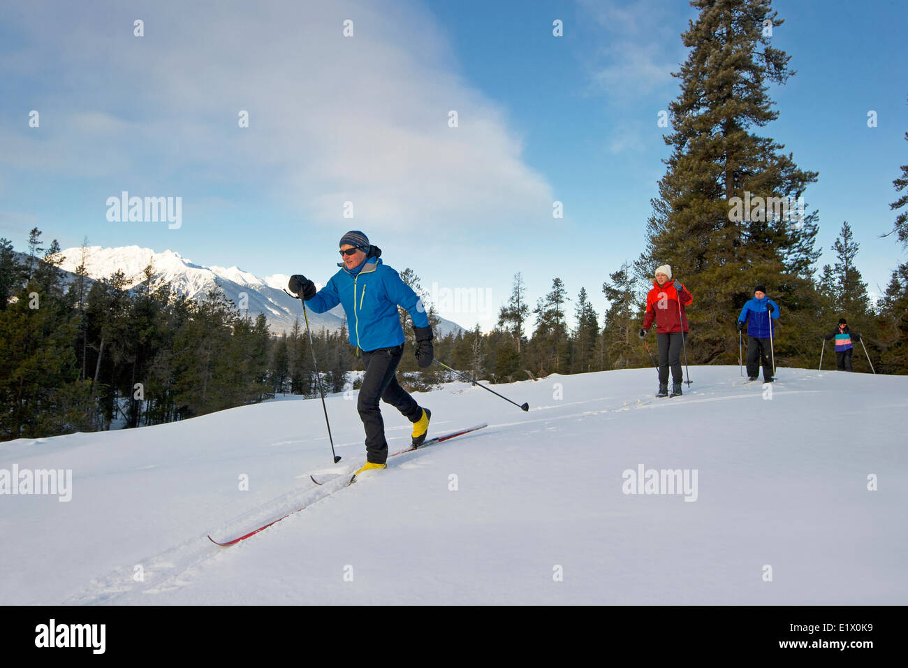 A group of cross country skiiers explore 'Jackman Flats' near Valemount