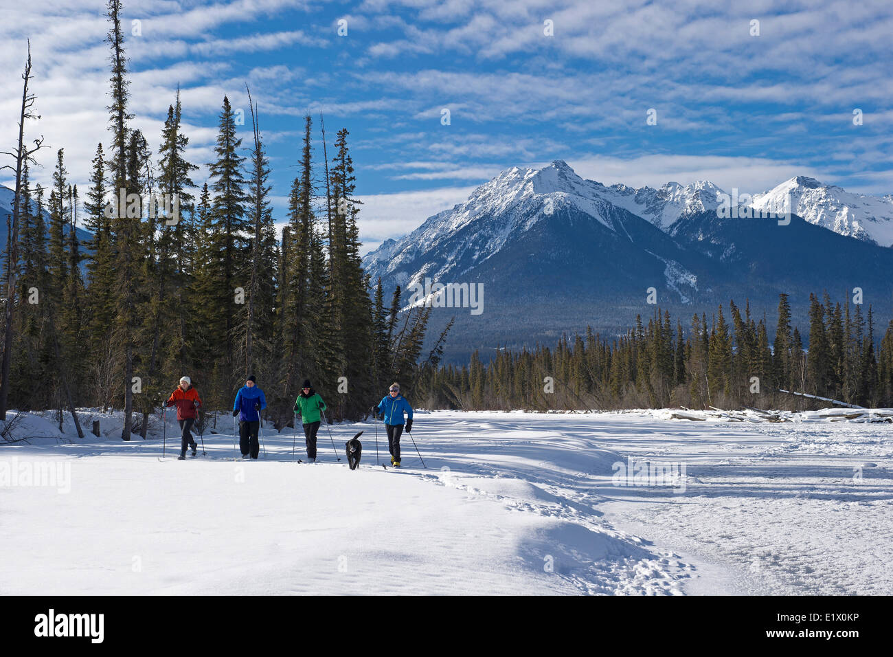 A group of cross country skiiers explore 'Jackman Flats' near Valemount