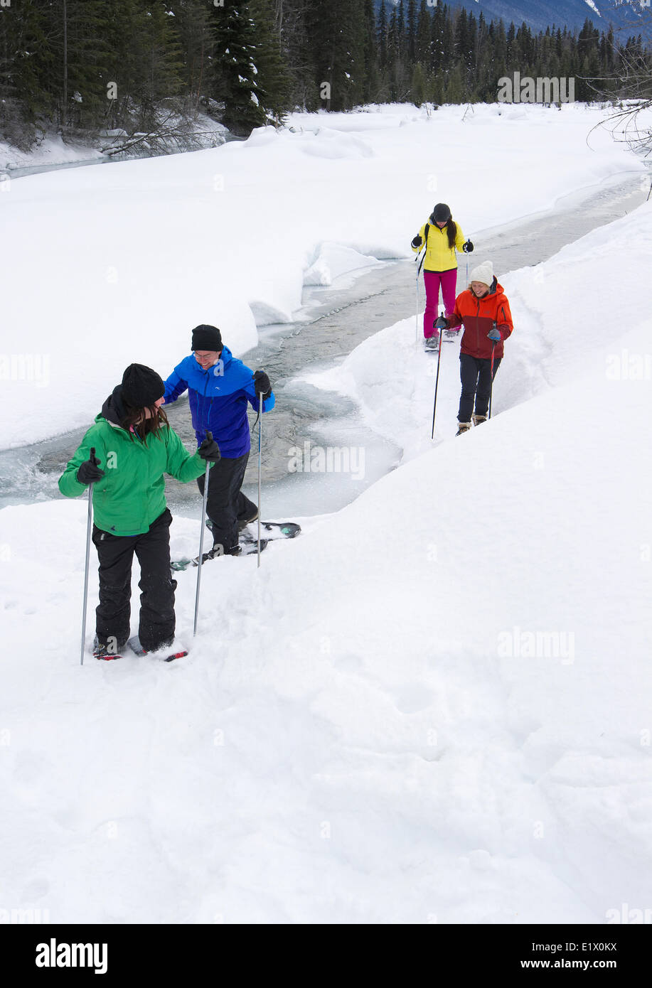 A group of cross country skiiers explore 'Jackman Flats' near Valemount